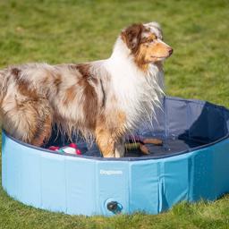 Dogman Plask Pool Til Hunden med Nubret Bund